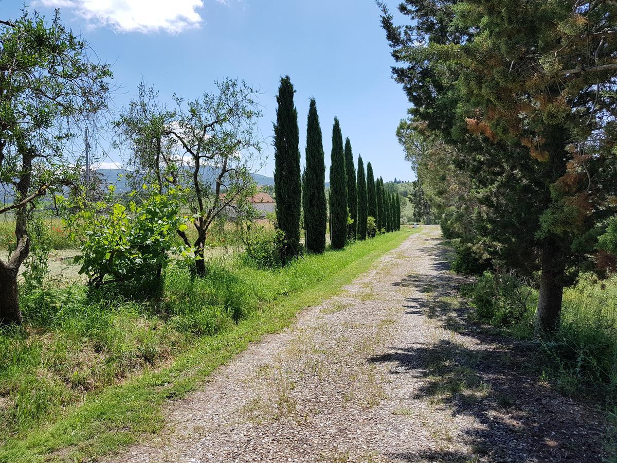Agriturismo Bio Le 4 Stagioni 포로나 외부 사진